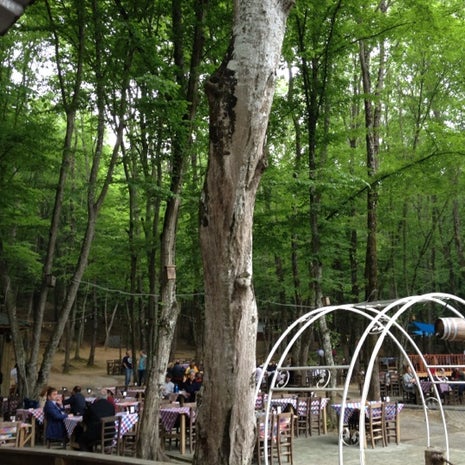 Fatih Ormani Kahvalti Bahcesi