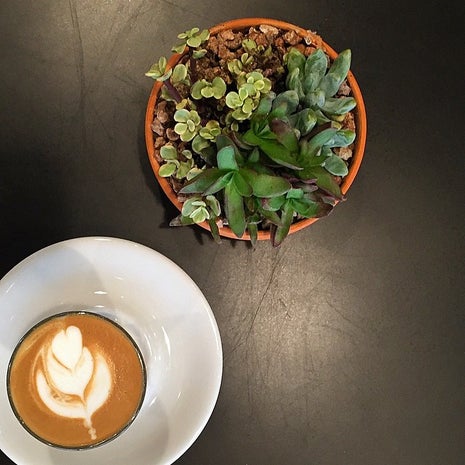 Steeple House Coffee