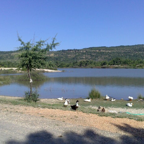 Çamlı Göl Restoran