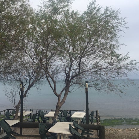 Zeytin Kahvaltı Salonu