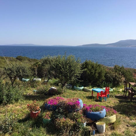 Taş Ev Kahvaltı ve Balik