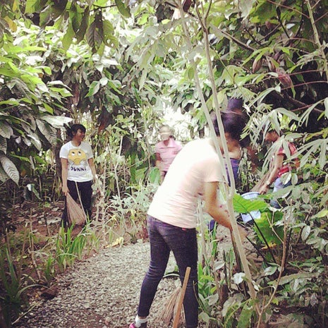 Lumbung Sari (House of Coffee)