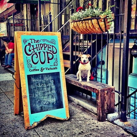 The Chipped Cup