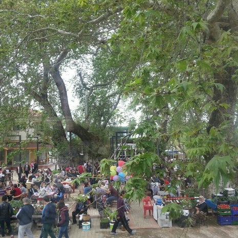 Sultan Sofrası Kaynaklar