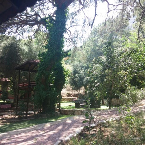 Meşelik Et & Balık Restaurant