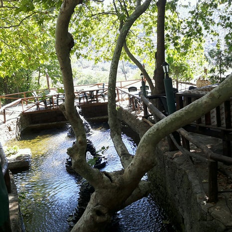 Çınaraltı Cafe & Köy Kahvaltısı