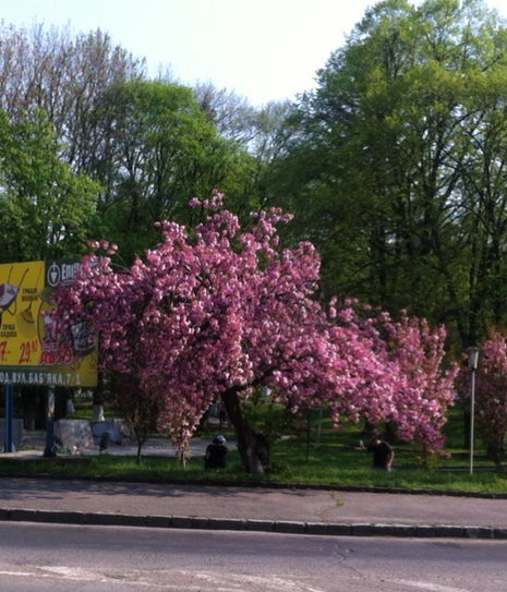 Горіціана на Крузі