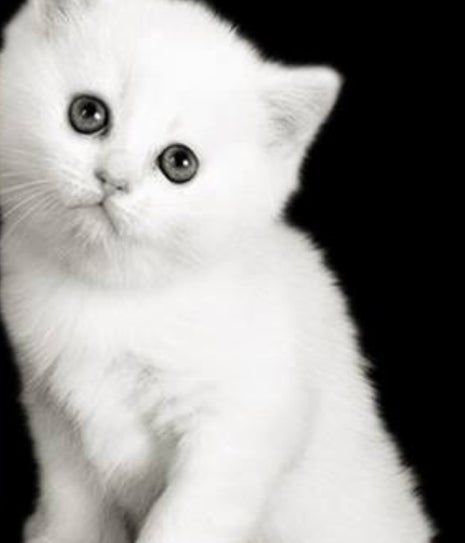 Kahve Dünyası Yenibosna Metro