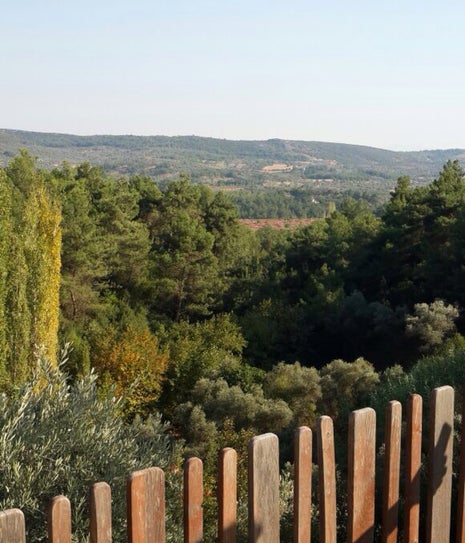 Tilki Deresi Kahvaltı Ve Gözleme Evi