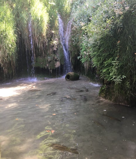 Çınaraltı Kahvaltı Salonu