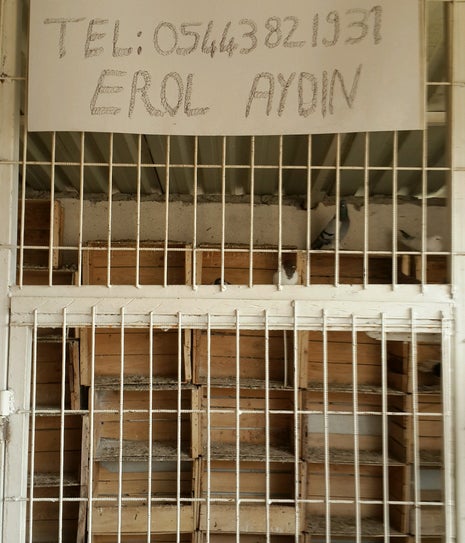 Kuşbazlar Kıraathanesi