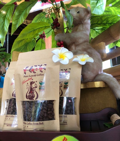 Balistar Coffee by Flabird