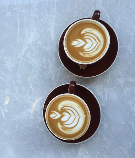 Baristocrat 3rd Wave Cafe & Roastery