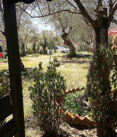 Çınar Dere Butik Aile Kahvaltı Bahçesi