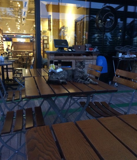 Coffee Academy