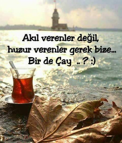 Yok Boyle Bir Yer