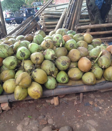 Depot Kelapa Cikunir