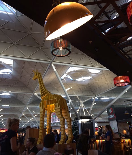 Giraffe