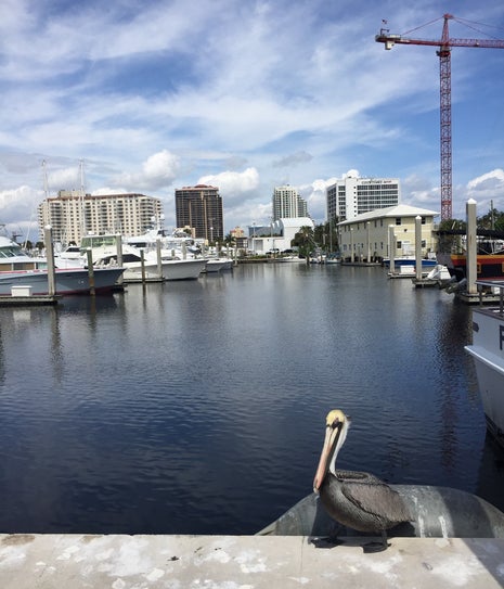 The MARKET at Behia Mar