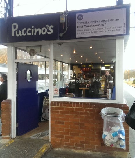Puccino's
