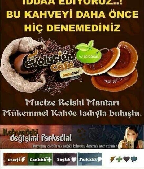 gano excel Zonguldak