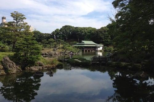 門前仲町 木場 東陽町 清澄白河のキャンプ場 お得な宿泊予約 東京都 こころから