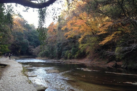 養老渓谷釣堀センター 千葉県 こころから