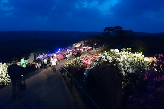 カナンスローファーム 沖縄県 こころから