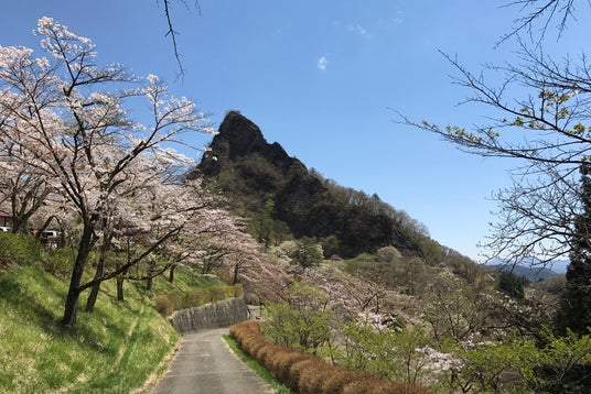 群馬県立森林公園 さくらの里 群馬県 こころから