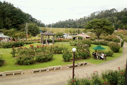 ののか本郷館 山形県 こころから ののか本郷館 山形県 こころから