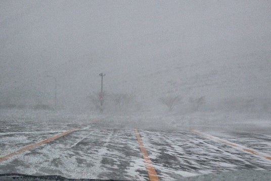 シネマヴィレッジ8 イオン柏 青森県 こころから