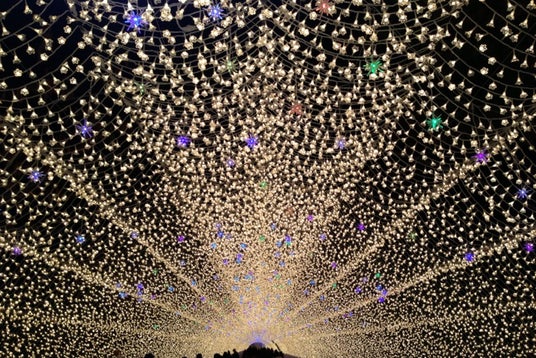 なばなの里 花市場 三重県 こころから