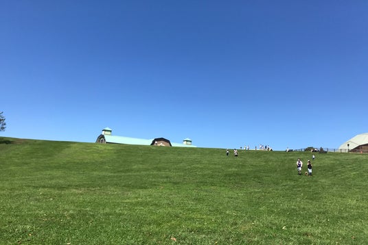 マザー牧場 ドッグラン 千葉県 こころから