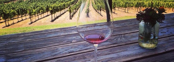 scribe winery views