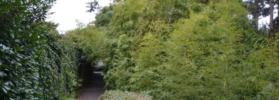 Alter Botanischer Garten - Park in Zürich