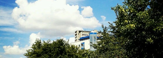 Стоматологические клиники в красноярск