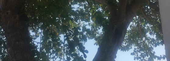 Didim Polis Eğitim ve Dinlenme Tesisi Misafirhane