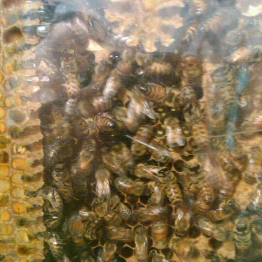 Powder Valley Conservation Nature Center Kirkwood, MO