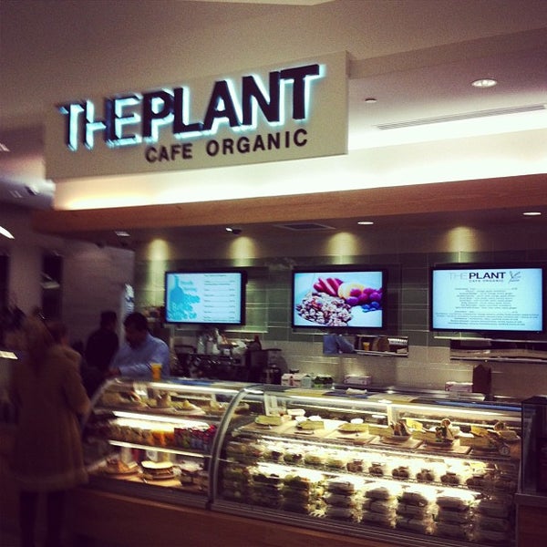 The Plant Cafe Organic San Francisco International