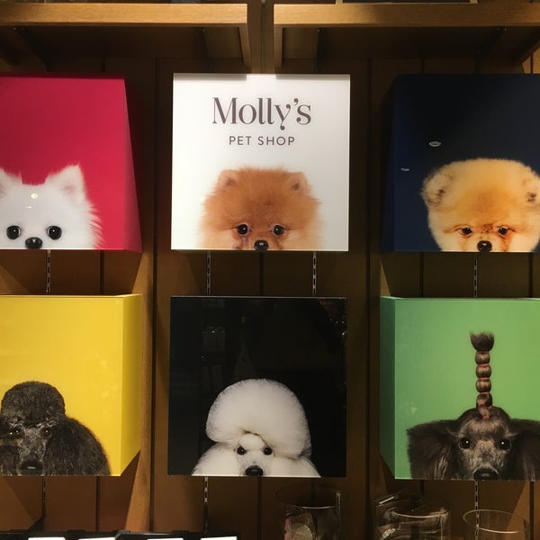 Molly's Pet Shop 반포4동 서울특별시, 서울특별시