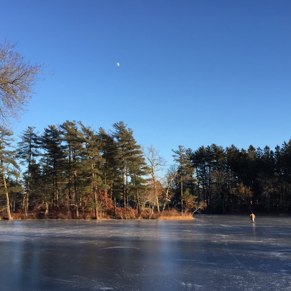 Johnson's Pond Raynham, MA