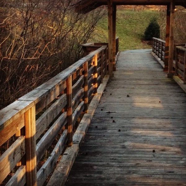 Summerfield Community Park Summerfield, NC