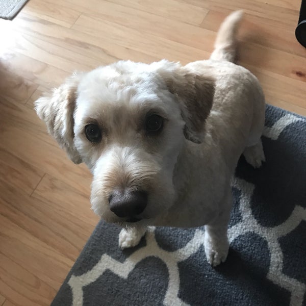 Mud Puppies South Riverside Austin, TX