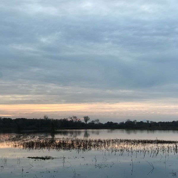 Cosumnes River Preserve - Nature Preserve