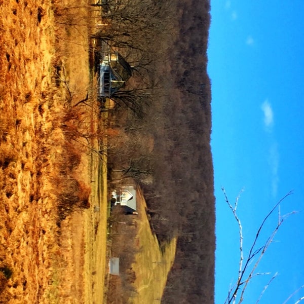 Bush Realty Group, Keller Williams Real Estate Office in Ashburn