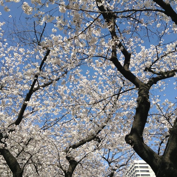 外務省 / 外務本省 (Ministry of Foreign Affairs of Japan / MOFA) 霞が関 4 tips from 1167 visitors