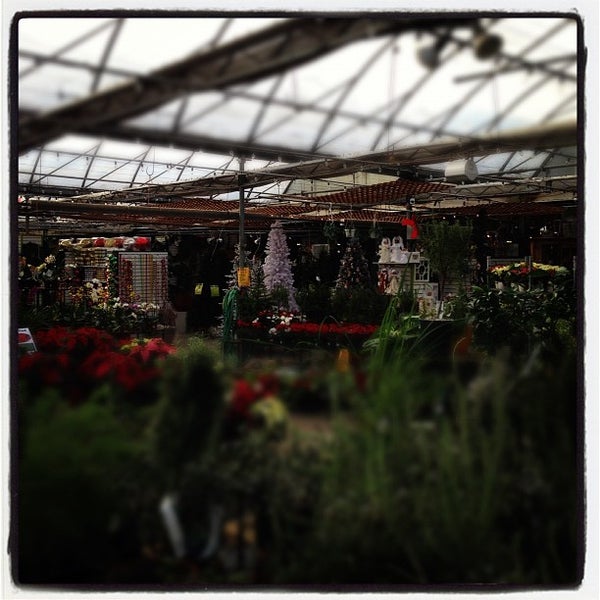 Salisbury Greenhouses Garden Center in Sherwood Park
