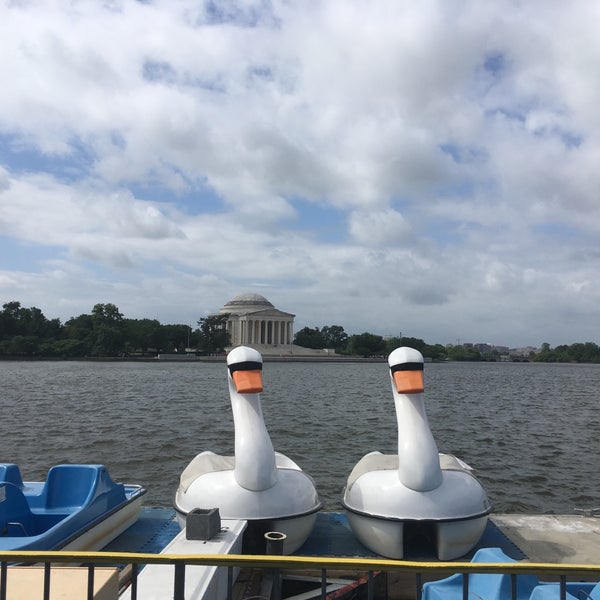 tidal basin paddle boats