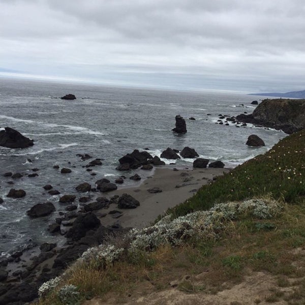 Sonoma Coast State Park - Jenner And Bodega Bay