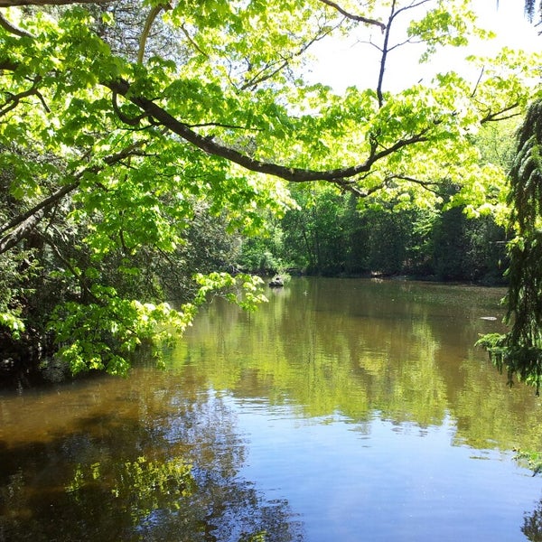 Belfountain Conservation Area